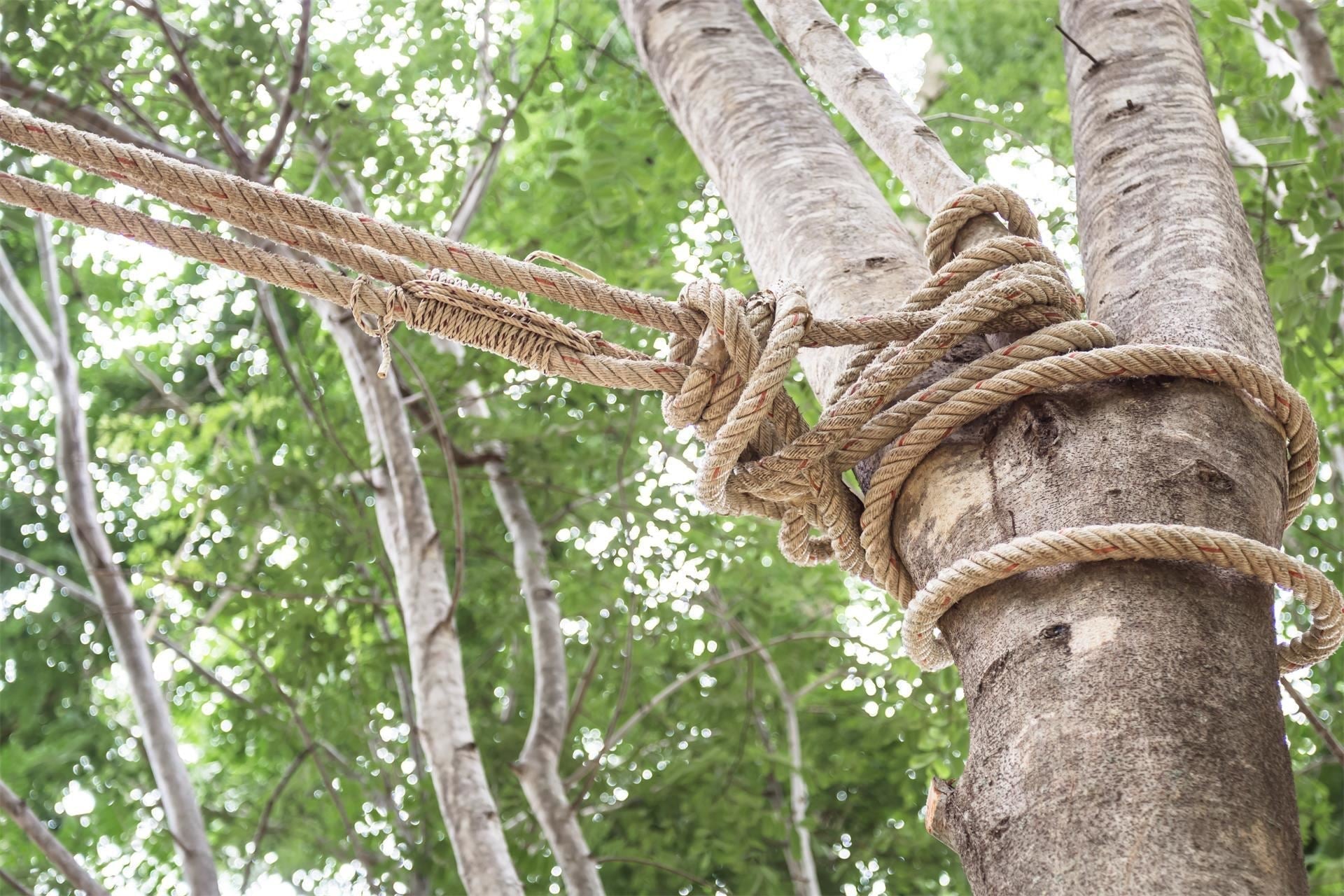 Which natural rope should you choose?