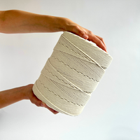 Macrame rope 3mm – off-white – 800m – double-twisted recycled cotton