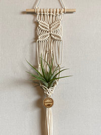 Macrame rope 3mm – off-white – 800m – double-twisted recycled cotton