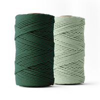 Macrame rope 3mm – eucalyptus &amp; dark green – 2x120m – double-twisted recycled cotton