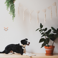 Macrame rope 3mm – ecru – 240m – single twist recycled cotton