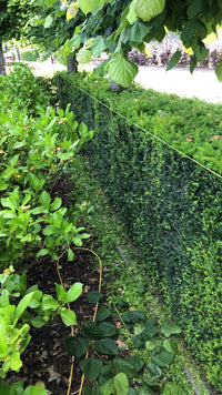 Nylon rope 3mm – fluorescent yellow – 500m – braided fluorescent cord