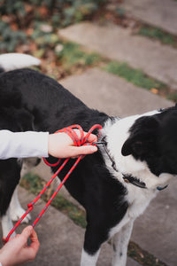 Polypropylene rope 6mm – 20m – mixed colours – braided lightweight all-round rope