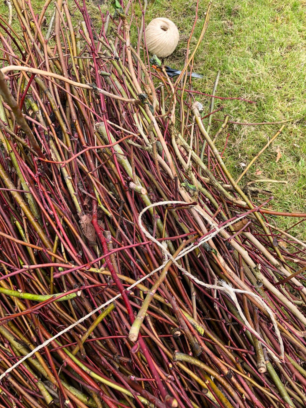 Sisal twine 2.5mm – 50m – natural 2-ply twine for garden &amp; DIY