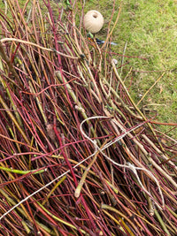 Sisal twine 2.5mm – 140m – natural 2-ply twine for garden &amp; DIY