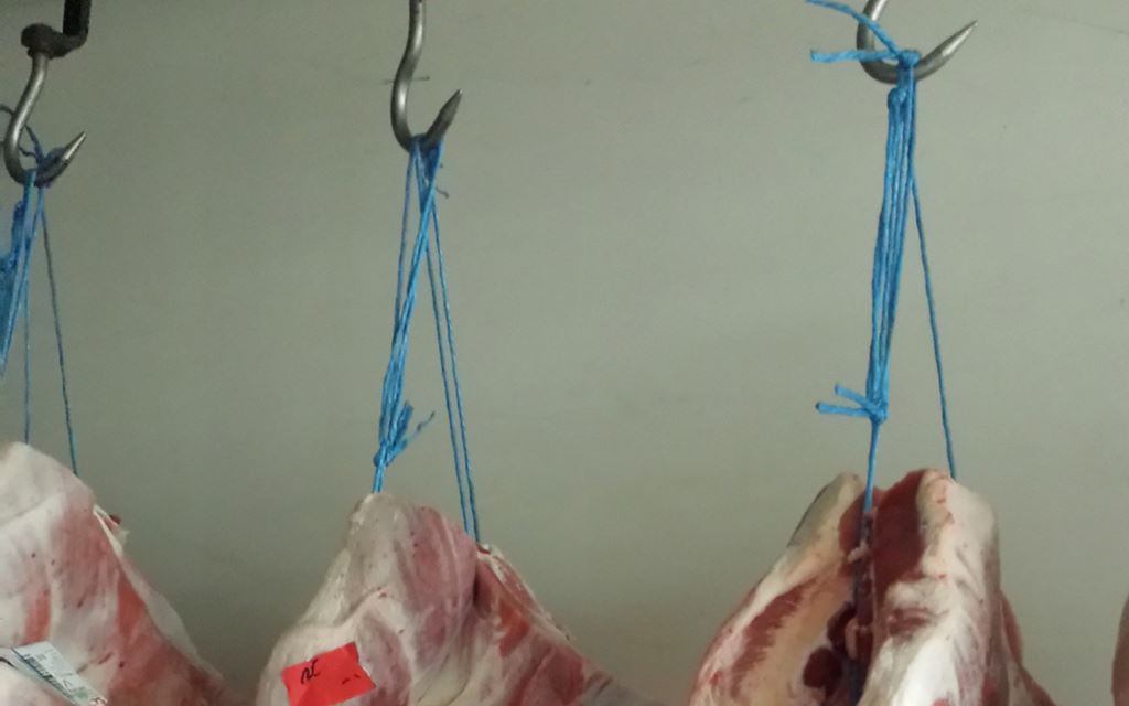 Picture of Food sector